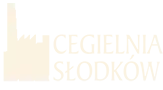 Cegła elewacyjna ręcznie formowana robiona rozbiórkowa Świętokrzyskie