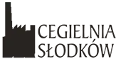 Cegła elewacyjna ręcznie formowana robiona rozbiórkowa Bydgoszcz